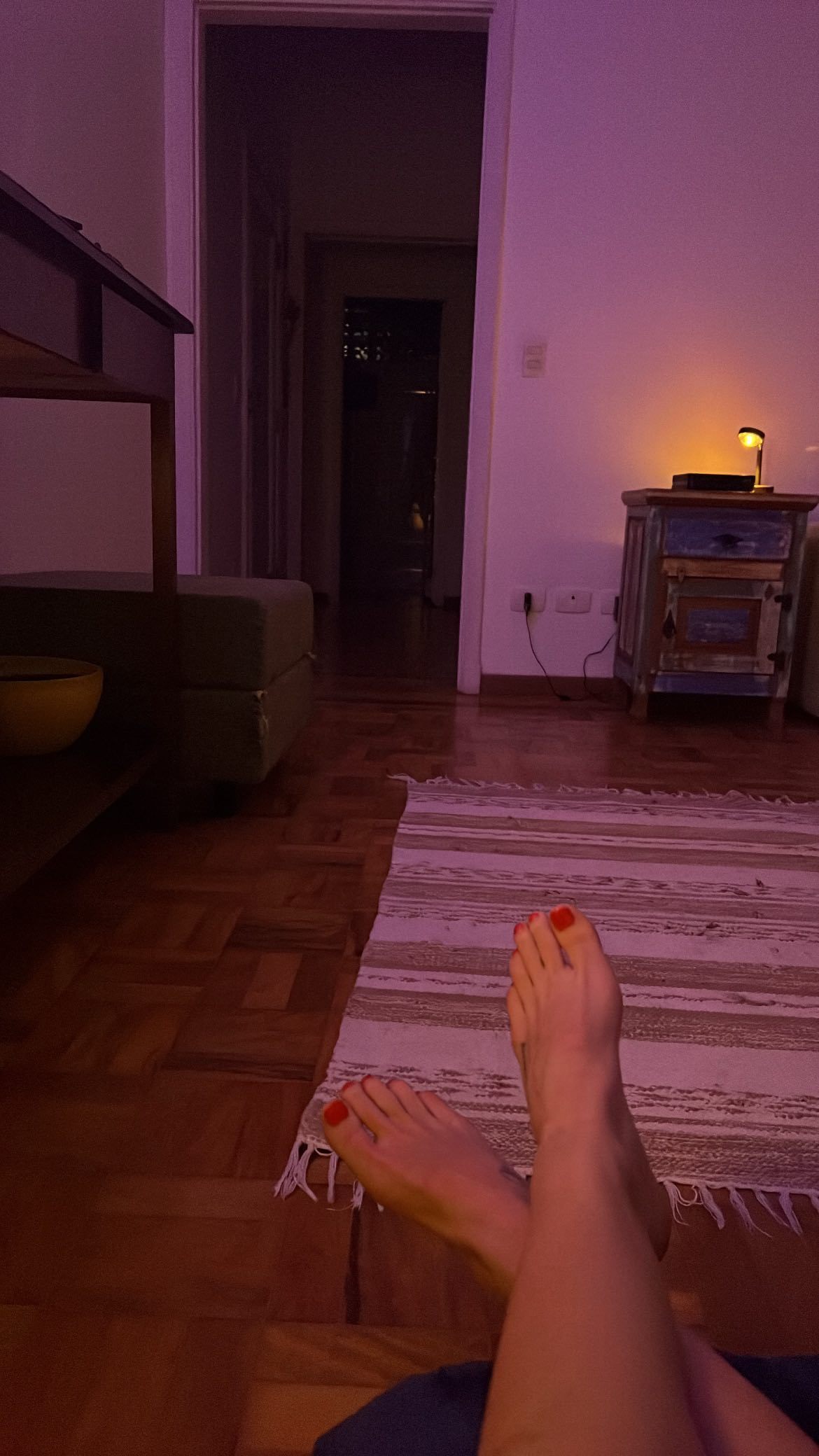 Ana Cañas 4